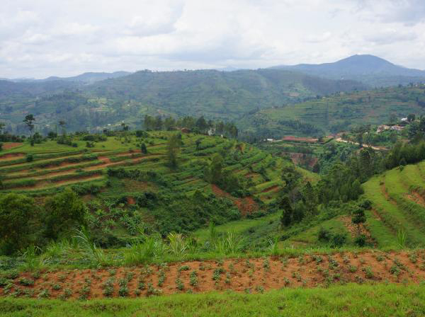 Karongi District Integrated Green Village Project