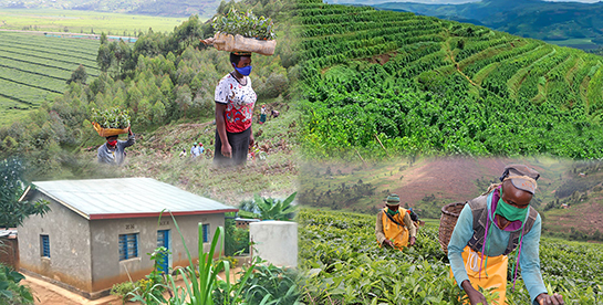 Strengthening climate resilience of rural communities in Northern Rwanda